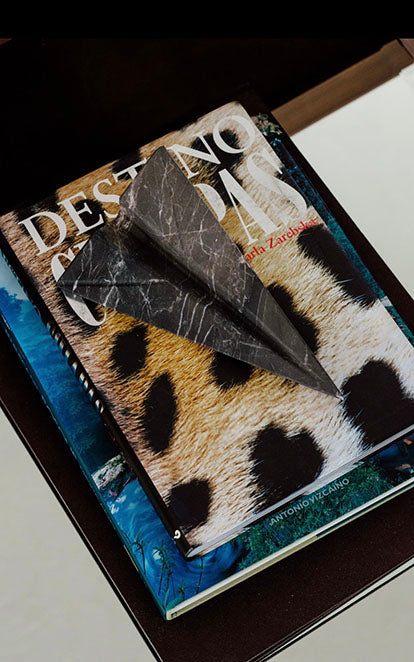 MATHIAS AVIÓN DECORATIVO